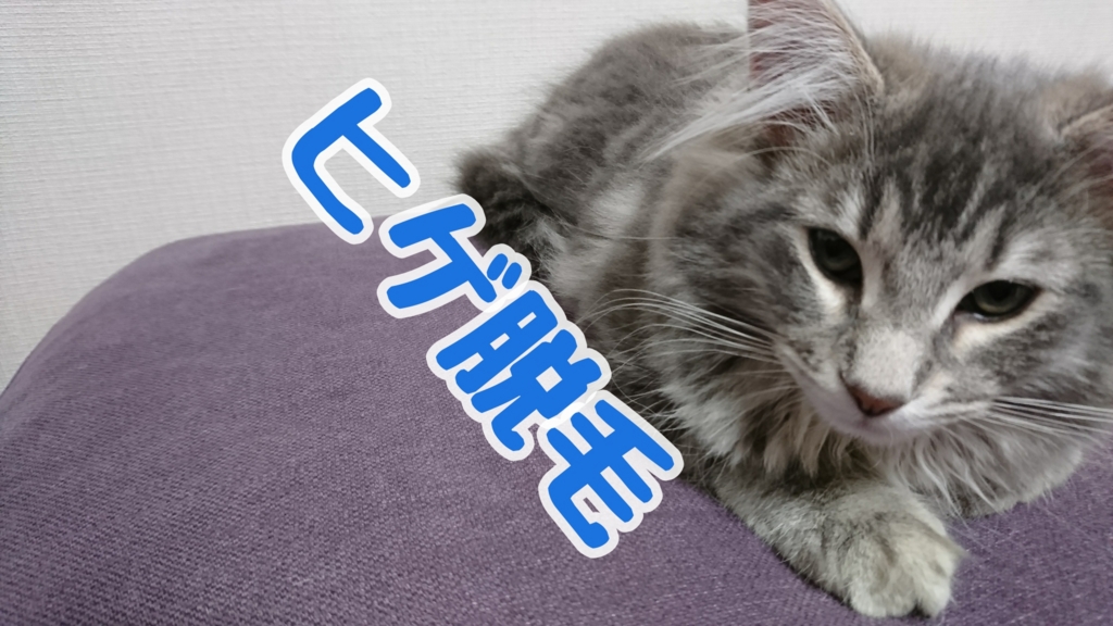 f:id:nekomiler:20170508231411j:plain f:id:nekomiler:20170508231411j:plain