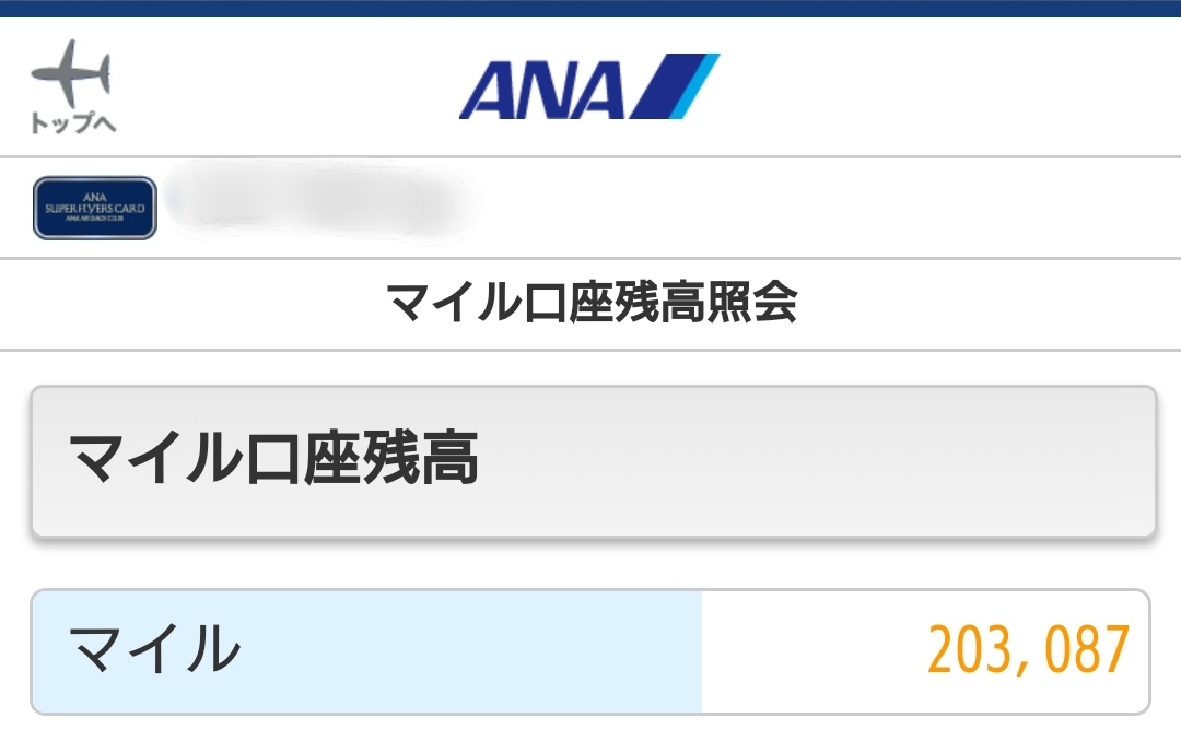 ディズニーチケット １日でランドもシーも両方遊べるパスポートの購入方法 ねこマイラーのディズニー旅行